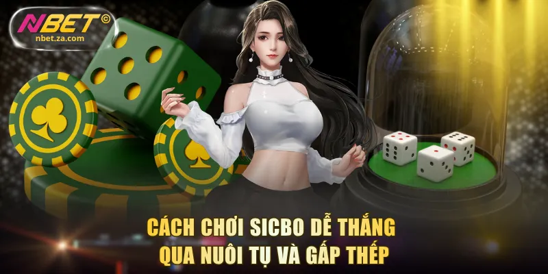 Cách chơi Sicbo dễ thắng qua nuôi tụ và gấp thếp