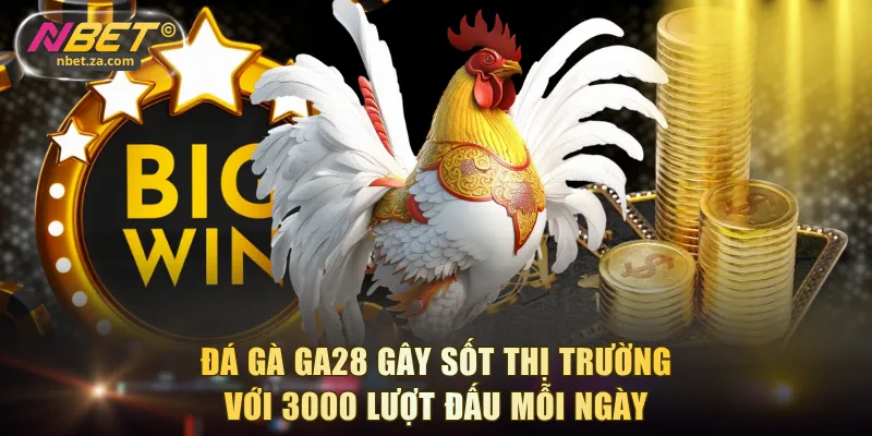 Đá gà GA28 gây sốt thị trường với 3000 lượt đấu mỗi ngày
