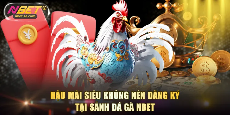 Hậu mãi siêu khủng nên đăng ký tại sảnh đá gà NBET