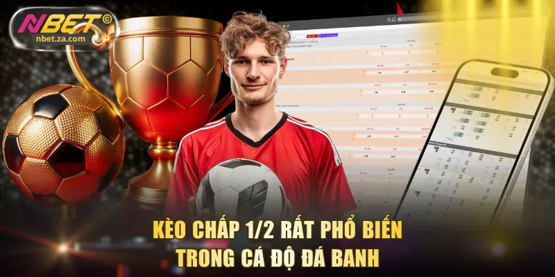 Kèo chấp 1/2 rất phổ biến trong cá độ đá banh