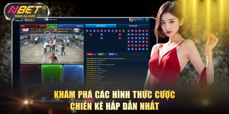 Khám phá các hình thức cược chiến kê hấp dẫn nhất