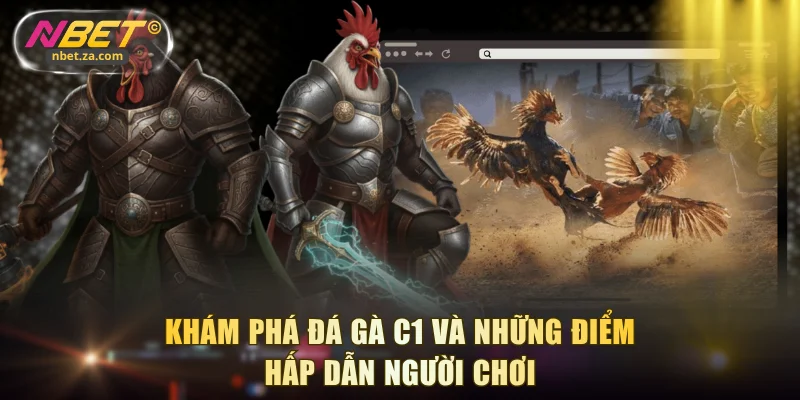 Khám phá đá gà C1 và những điểm hấp dẫn người chơi