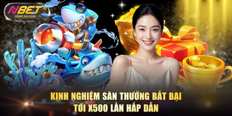 Kinh nghiệm săn thưởng bất bại tới x500 lần hấp dẫn