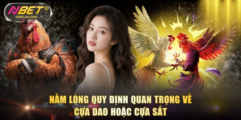 Nằm lòng quy định quan trọng về cựa dao hoặc cựa sắt