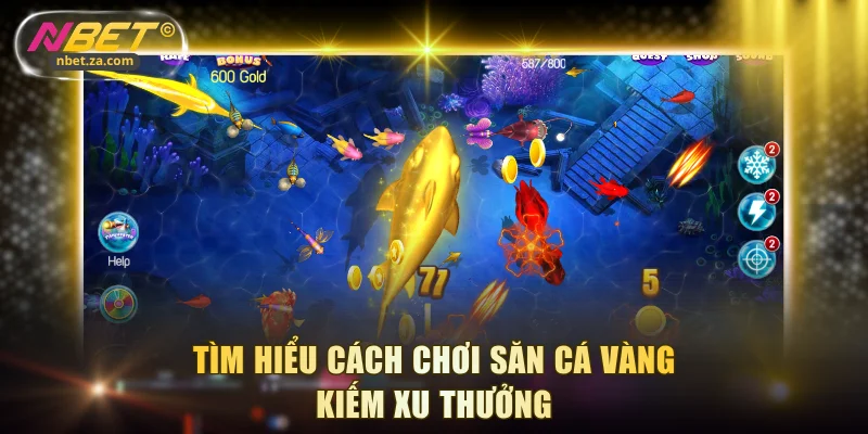Tìm hiểu cách chơi săn cá vàng kiếm xu thưởng