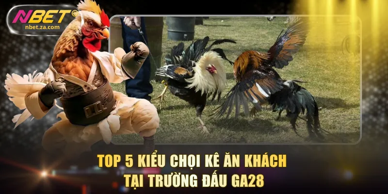 Top 5 kiểu chọi kê ăn khách tại trường đấu GA28