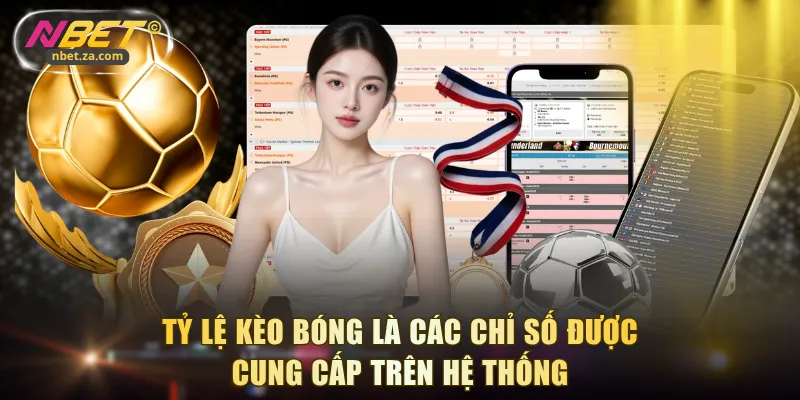 Tỷ lệ kèo bóng là các chỉ số được cung cấp trên hệ thống